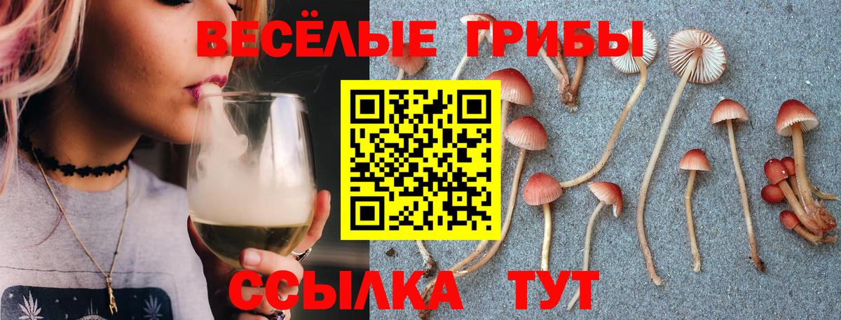 Тверь  Псилоцибиновые грибы Psilocybe  Вход с VPN  Галлюциногенные грибы GOLDEN TEACHER 
